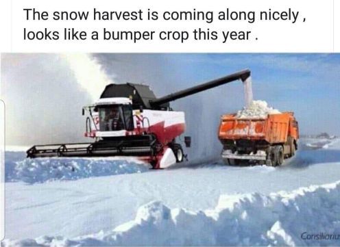 snow harvest garden.jpg